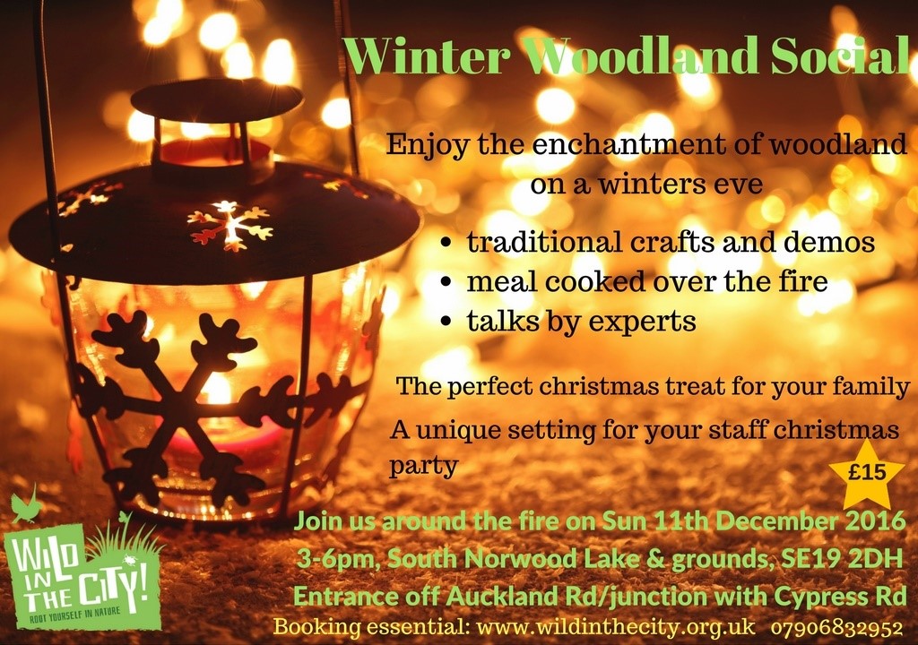 Winter Woodland Social