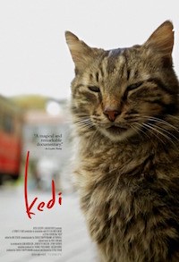 Kedi (2016, Turkey, Dir. Ceyda Torun, 79 mins, U) - extra show