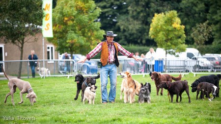 Lloyd Park Festivals of Dogs
