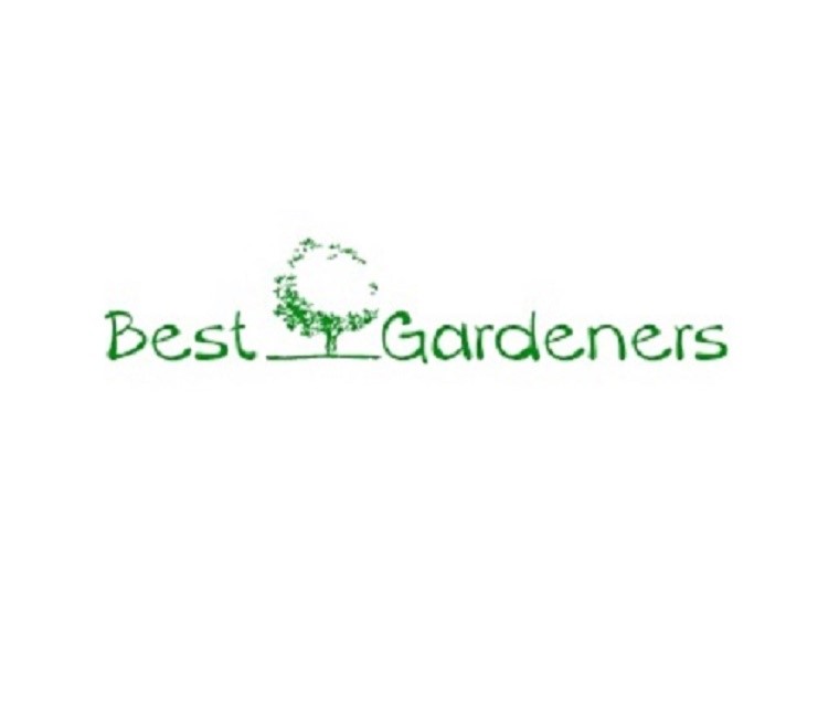 Best Gardeners Oxford - Tree Surgery